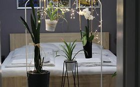 Viky Apartment